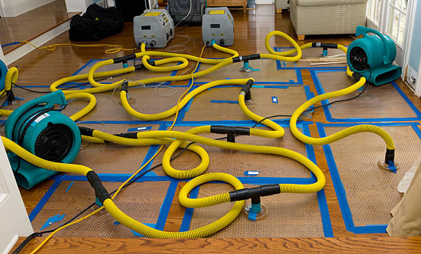 Professional Burst Pipe Water Damage technician working in Knoxville, IA